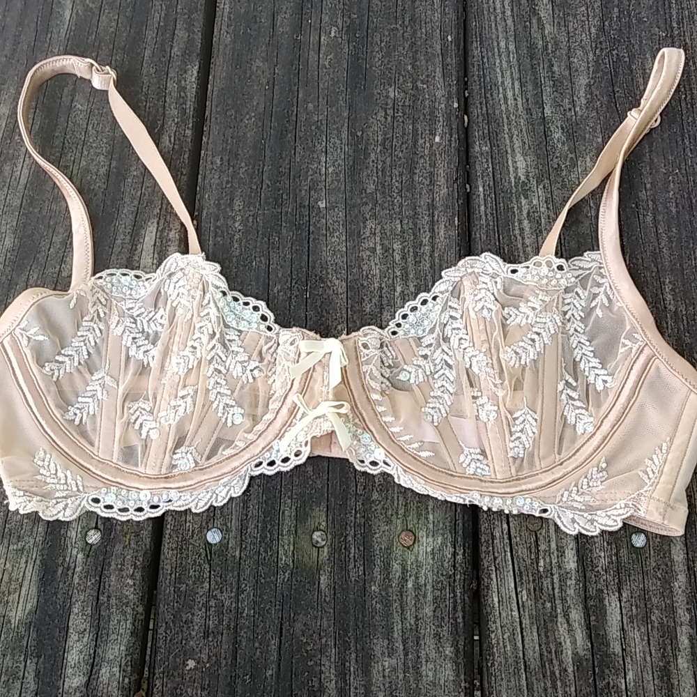 Beautiful sequin and beaded bra